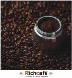 Best Fresh Roasted Coffee Beans